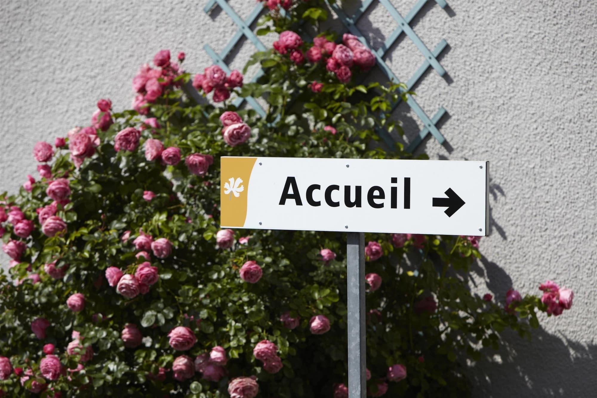 Premiere Classe Lille Sud - Seclin Exteriör bild